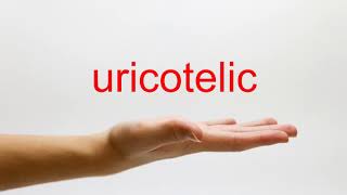 How to Pronounce uricotelic  American English [upl. by Adniled260]