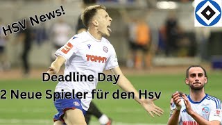 Hsv News  Deadline Day Hsv verpflichtet 2 neue Spieler [upl. by Eecal850]