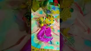 Radhe Radhe 🙏🌹shyam virdhavan youtubeshorts krinshna trending Laddugopal6564 [upl. by Eidaj]