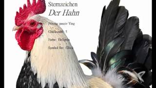 Chinesisches Sternzeichen der Hahn und seine Eigenschaften Zielgerichtet und voller Selbstvertrauen [upl. by Nichol]