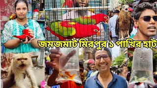 মিরপুর ১ পাখির হাটExotic fishbirdspersian catEagleMirpur 1 Bird Marketবিড়ালের দাম জানুন [upl. by Emmaline]