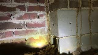 Termite damage found during inspection in Louisburg NC [upl. by Circosta730]