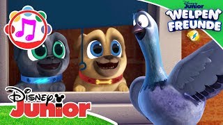 Welpen Freunde ♫ Die besten Songs aus Staffel 2 ♫  Disney Junior Musik [upl. by Oira]