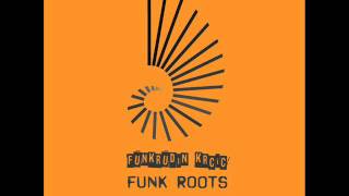 Funkrudin Krcic  Funk Roots [upl. by Yrekaz]