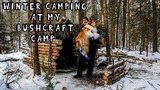 Winter Camping at My Bushcraft Camp [upl. by Akit]