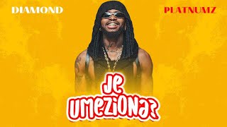 Diamond Platnumz  Je Umeziona Official Music Video [upl. by Lindbom]