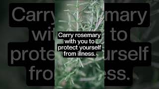 How to Use Rosemary in Magic Spells and Rituals [upl. by Fogg]