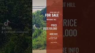 Land for Sale in Breadnut Hill Ocho Rios StAnn Jamaica [upl. by Emmons649]