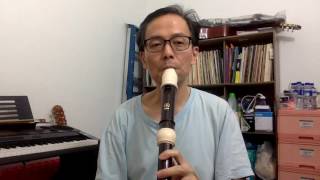 7 Comparing Aulos vs Yamaha tenor recorder  Scarborough Fair [upl. by Radke783]