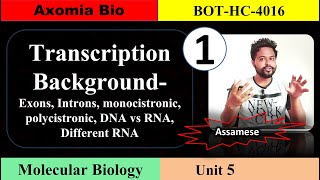 Transcription background cistron DNARNA  Unit 5  Class 1  Axomia Botany  BOTANY MAJOR GU [upl. by Ecyrb]