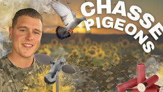 OUVERTURE CHASSE AUX PIGEONS I PIGEON HUNTING OPENING 💥🪶🇫🇷 [upl. by Renae]