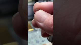 Removing The Flint Spring amp Screw From An Unmarked Cylindrical Shaped Aluminum Block Petrol Lighter [upl. by Ahsimal]