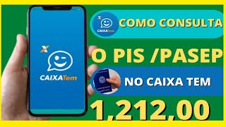 Como Consultar PisPasep2022 No Caixa tem e site Não Foram Encontradas parcelas vinculadas CPF [upl. by Levram559]