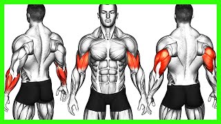 Ultimate Arm Blasting Routine Get Stronger Arms Fast [upl. by Kameko101]