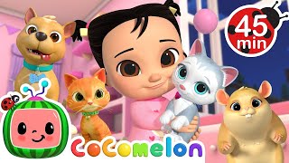 CoComelon Pet Animal Medley with Bingo amp Jellybean 🐾  MORE CoComelon Nursery Rhymes  LIA CHA CHA [upl. by Angeli]