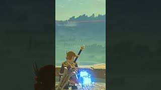 BLSS So Fun The Legend of Zelda Breath of The Wild thelegendofzeldabreathofthewild [upl. by Soluk]