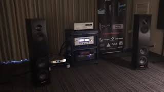 Magico A3’s with Luxman 509x and D08u at Florida Audio Expo 2019 [upl. by Riegel]