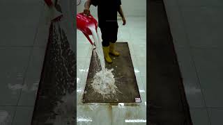 Pile Lifting – Lifts carpet fibers to restore appearance [upl. by Hebe]