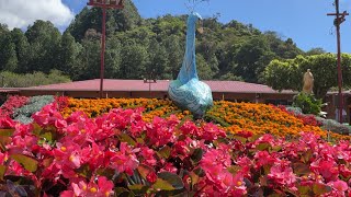 La colorida feria de flores y café de Boquete cumple 50 años de historia en Panamá [upl. by Ailehpo]