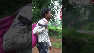 NEW HO MUNDA SHORT REELS VIDEO  BUTURU amp NAMSI  PRESENT BY PINGUA SEPED OFFICIAL  REELS [upl. by Larret]