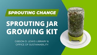 Sprouting Jar Growing Kit [upl. by Nylcsoj]