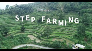 Step Farming in Northeast India [upl. by Ahsennod]