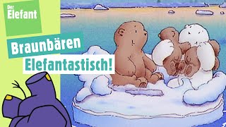 Der kleine Eisbär spielt mit den Braunbären amp Der Buchstabe B  Der Elefant  WDR [upl. by Nitsrek242]