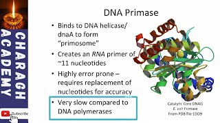 6 Steps of DNA Replication [upl. by Alburga965]