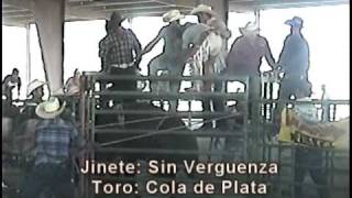 Jaripeo y Baile Ranchero en Chowchilla 091609 [upl. by Niak]