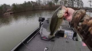 Ice FishingCatching Largemouth Bass In 40 Degree Water [upl. by Abdulla554]