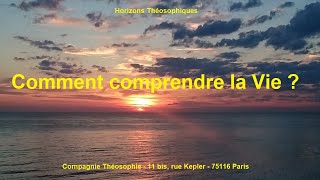 Comment comprendre la vie [upl. by Adnelg237]