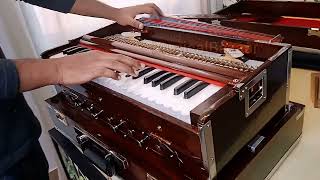 Explained 2 Reed Professional Kirtan Harmonium [upl. by Celeste529]