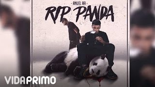 Anuel AA  RIP Panda ft Arcangel Official Audio [upl. by Syramad]