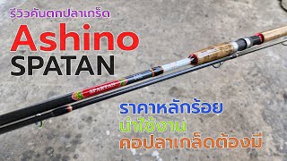 คัน ashino spatan ตกปลาเกล็ดสุดคุ้ม fishing ตกปลา fishingvideo ตกสปิ๋ว ตกปลานิล [upl. by Animsaj916]