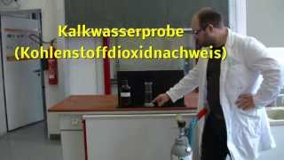 Kalkwasserprobe Kohlenstoffdioxidnachweis [upl. by Jairia]