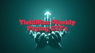 🚨🚨YieldMax New Weekly ETF’s All 34 of Them [upl. by Enovahs]