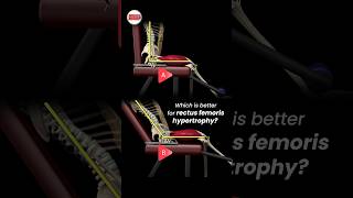 Which is better for rectus femoris hypertrophy [upl. by Aniroc866]