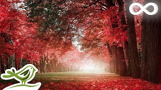 30 Minutes of Beautiful Romantic Music Guitar Music Violin Music Cello Music Piano Music ★74 [upl. by Feer]