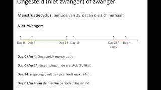 Ongesteld of zwanger [upl. by Nelloc218]