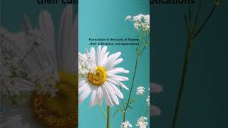 What is Floriculture Flowers  Floriculture science shortsfeed [upl. by Ceevah670]