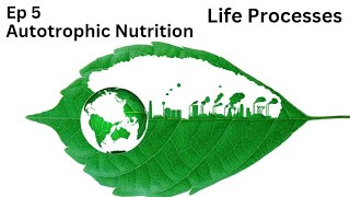 Ep 5  Autotrophic Nutrition  Life Processes  Class 10 [upl. by Ezechiel128]