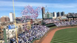 100Year Anniversary Celebration At Wrigley Field [upl. by Yousuf]