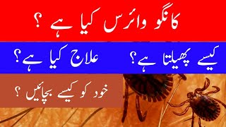 Crimean Congo Hemorrhagic Fever  Congo Virus Causes Symptoms Prevention And Treatment in Urdu [upl. by Ahsinroc159]