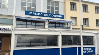 Le meilleur écailler breton est Brestois [upl. by Dleifxam]