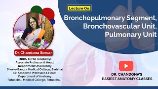 Lecture On Bronchopulmonary Segment Bronchovascular unit And Pulmonary Unit [upl. by Nonregla]