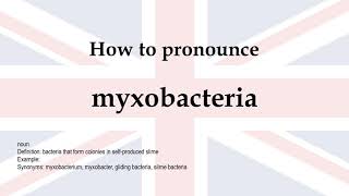 How to pronounce myxobacteria  meaning [upl. by Zoes]