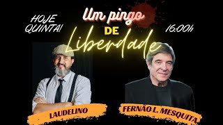 UM PINGO DE LIBERDADE 19 SET [upl. by Zea972]