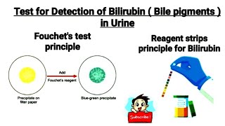 Test for Detection of bilirubin Bile pigments in urine  Fouchets test  what is bilirubinuria [upl. by Siram]