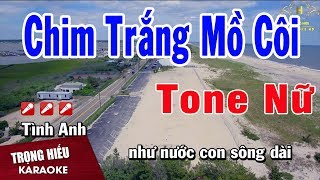 Karaoke Chim Trắng Mồ Côi Tone Nữ Nhạc Sống  Trọng Hiếu [upl. by Eonak839]