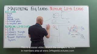 ECG  EKG Leads Bipolar Limb Leads  Electrocardiography  Cardiology🫀 [upl. by Kramer]